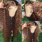 Highlight Deep Wave 13x4 HD Lace Front Glueless Wig