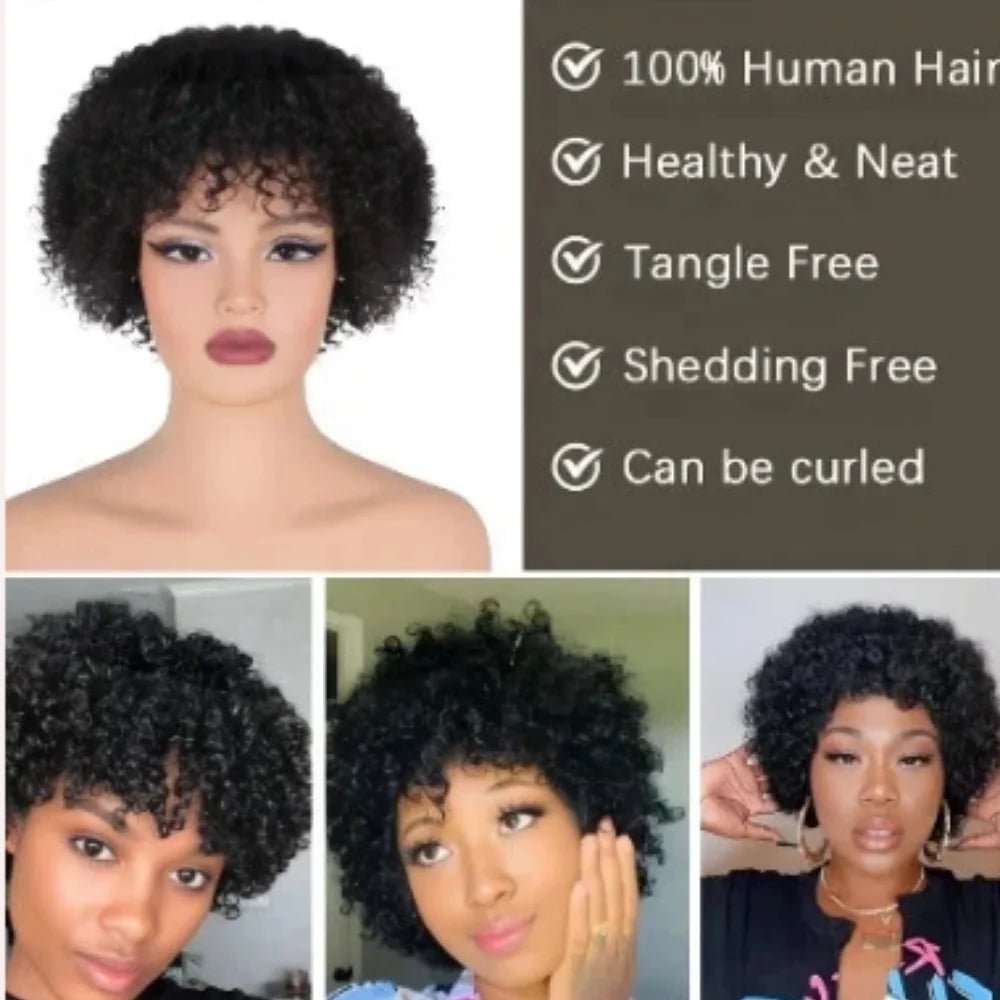 Pixie cut wig features graphic: 100% human hair, tangle free, shedding free and can be curled